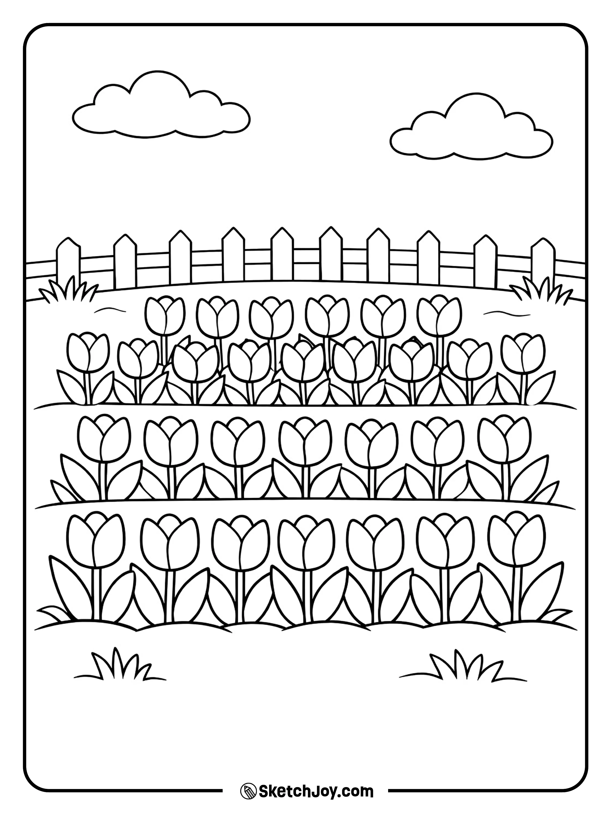 Tall tulips stand in neat rows under a soft sky.