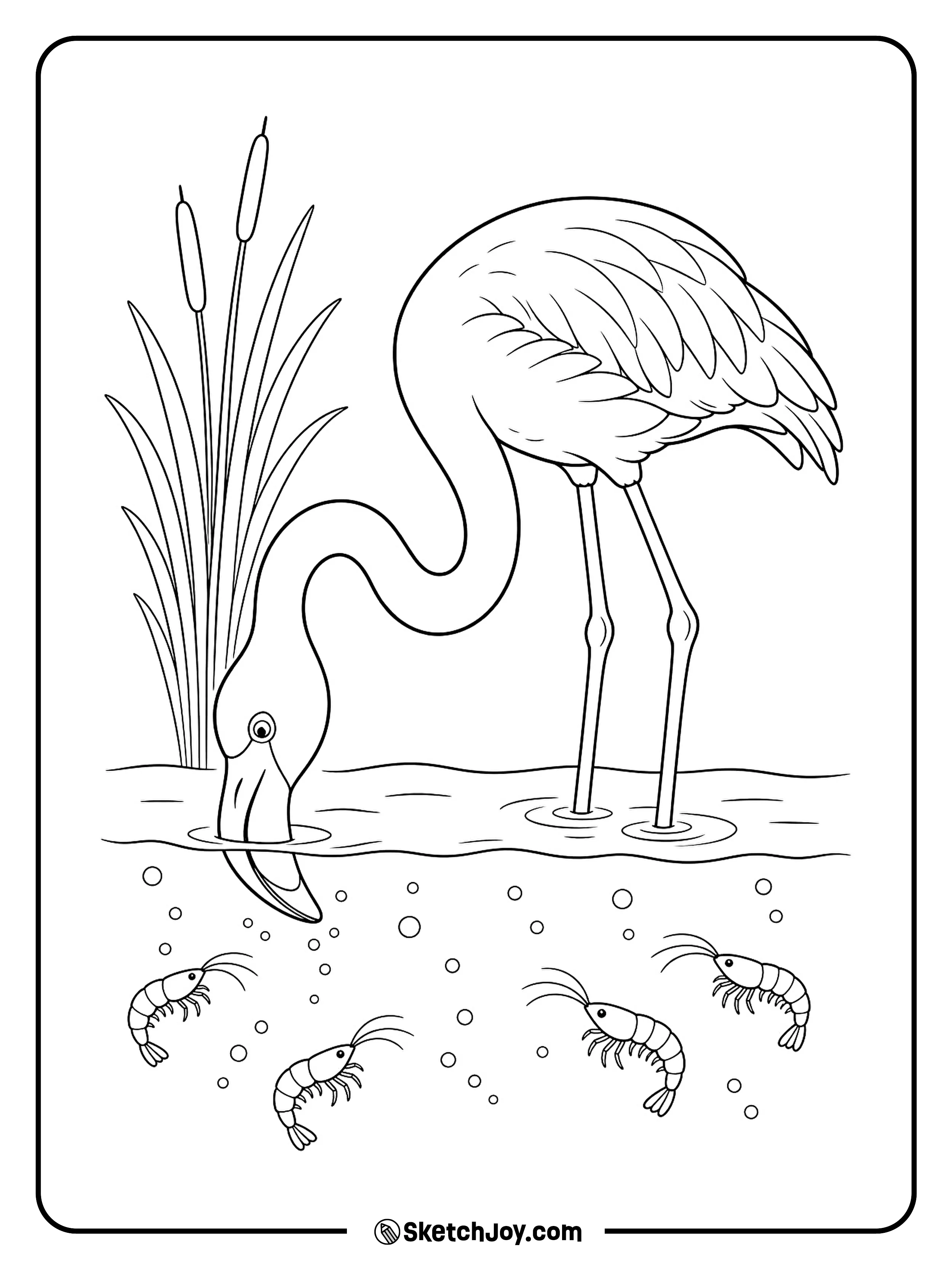 A hungry flamingo dips its curved beak into the pond for food.