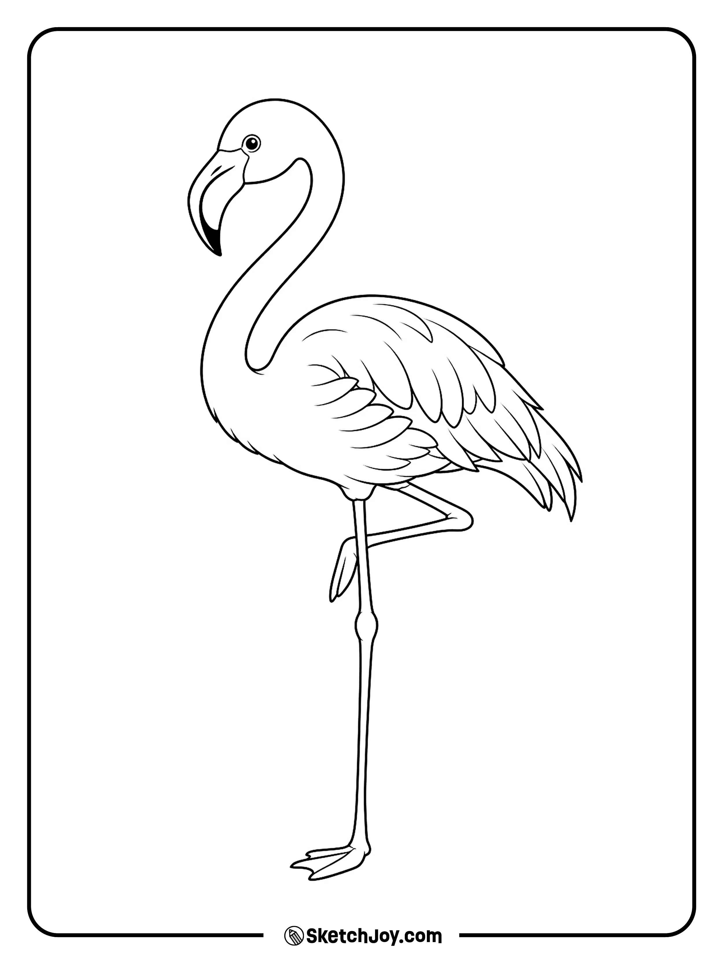 A calm flamingo holds its classic one-leg pose with a proud look.