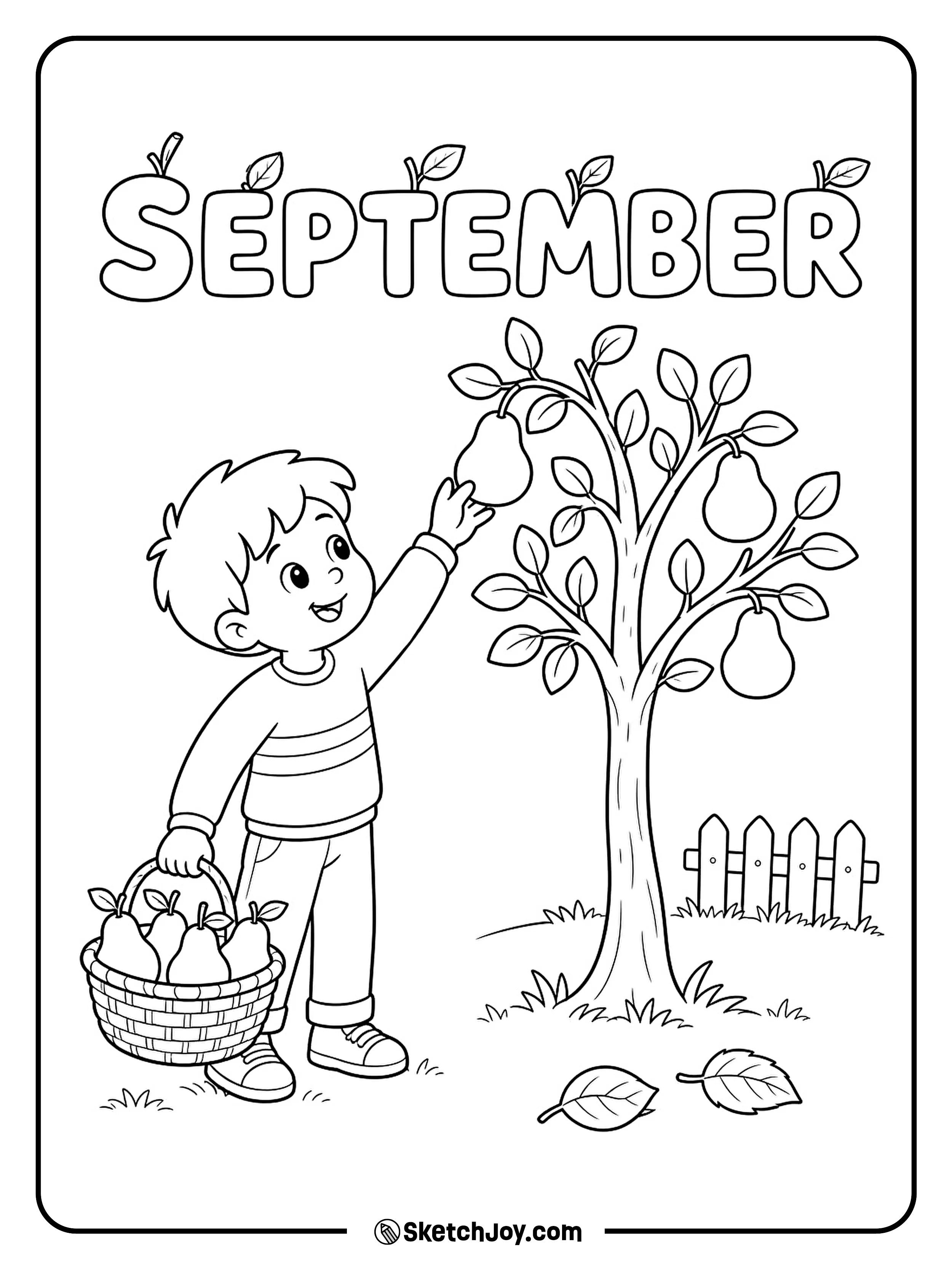 A child picks ripe pears from a small tree beside a harvest basket.