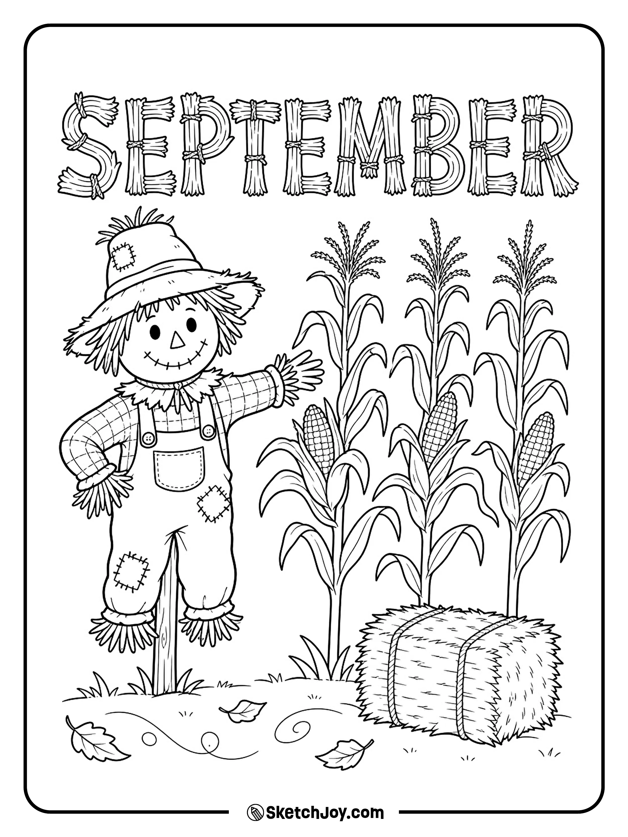 A friendly scarecrow watches over a small cornfield on a calm September day.